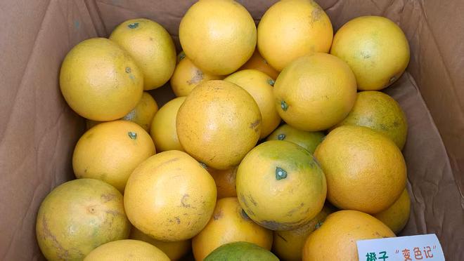 灭“不包邮区”的路上越走越远瓦力棋牌2025拼多多在消(图6) 灭“不包邮区”的路上越走越远瓦力棋牌2025拼多多在消(图6)